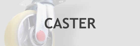 Search for casters
